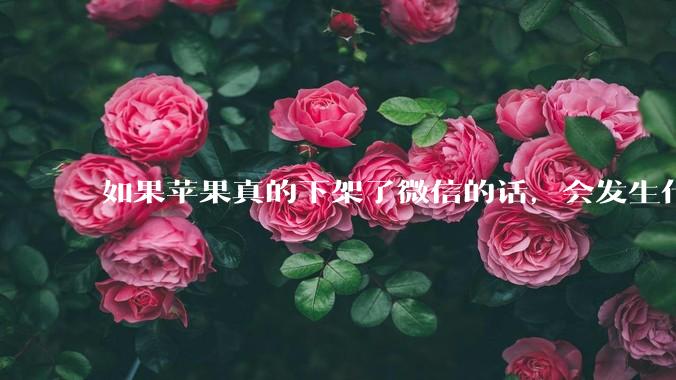 如果苹果真的下架了微信的话，会发生什么？