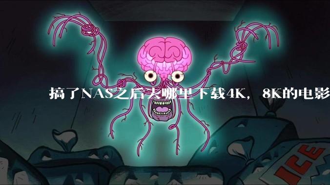 搞了NAS之后去哪里下载4K，8K的电影？