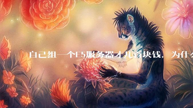 自己组一个E5服务器才几百块钱，为什么去阿里云租这么贵?