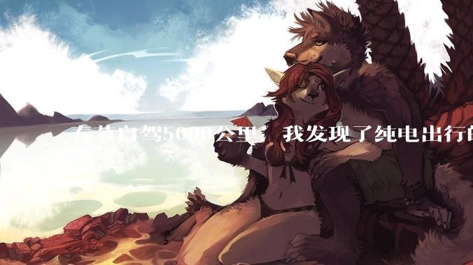 春节自驾5000公里，我发现了纯电出行的7个BUG_何畅_充电_车主