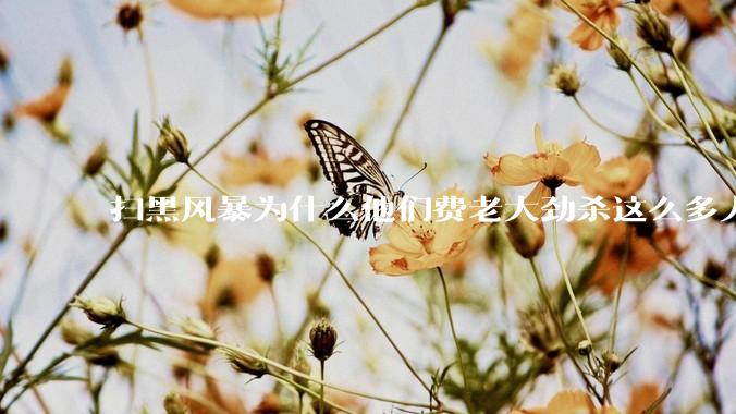 扫黑风暴为什么他们费老大劲杀这么多人不如直接把督导组干掉？