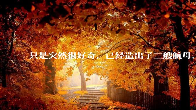 只是突然很好奇，已经造出了三艘航母，为何不能按照这样的模板，批量建造航母呢?