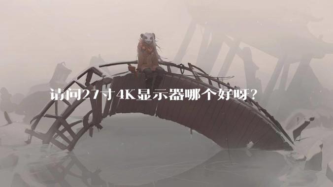 请问27寸4K显示器哪个好呀？